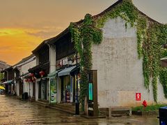 -绍兴鲁迅故里·沈园景区