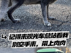 -吉林市朱雀山国家森林公园