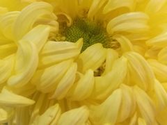 -小榄公饭店(西区彩虹店)