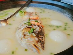 天目湖有机鱼头汤-嘉禾·悦享餐厅(八方汇店)