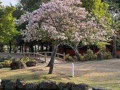 -奈良公园