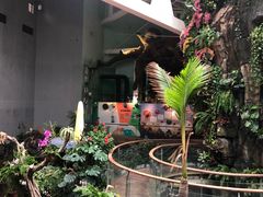 -正佳雨林生态植物园