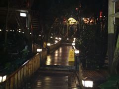 -天门沟九州驿站树上汤泉