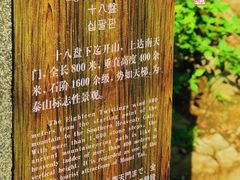 -泰山风景名胜区