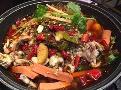 -渝蛙馆(新百店)