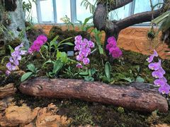 -国家植物园南园