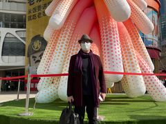 -上海龙之梦万丽酒店