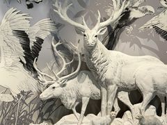 -中国湿地博物馆