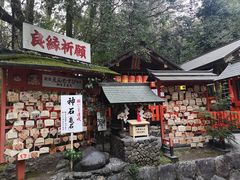 -野宫神社