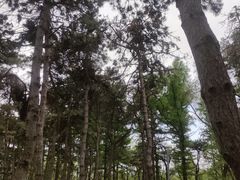 -长春市南湖公园