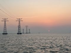 -宝安西湾红树林湿地公园