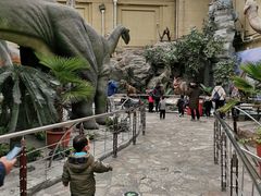 -国家自然博物馆