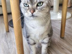 -小时光咖啡馆(北锣鼓巷店)