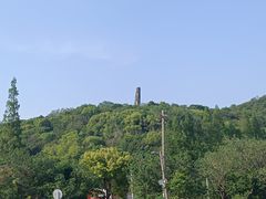 -上海佘山国家森林公园天马山园