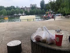 -莲湖公园