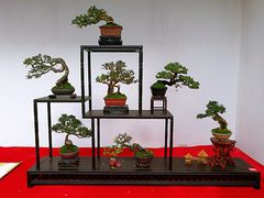 -重庆市江北嘴中央商务区中央公园