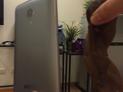 -上海老天禄
