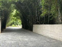 -阳朔糖舍酒店·糖舍餐厅&酒吧