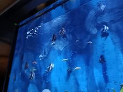 -渔火·特色餐厅(佘山世茂洲际酒店)