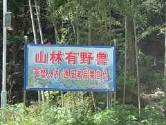 -素山寺森林公园