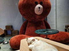 -瞄一喵猫咖(格力海岸店)