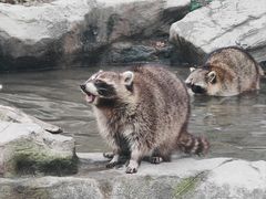 -上海野生动物园