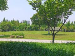 -河泥荡文化公园