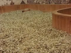 -钓鱼岛洗浴休闲会馆(卫星路店)