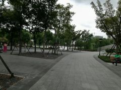 -南翔镇银翔湖公园