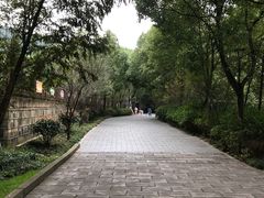 -峙山公园