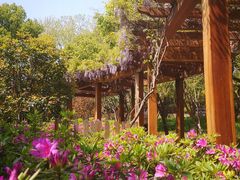 -徐家汇源景区-衡山公园