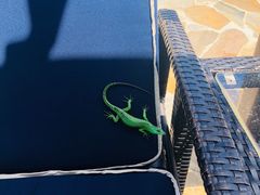 -塞班肯辛顿酒店Kensington Hotel Saipan