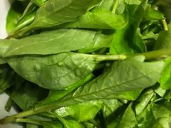 -朝阳菜场(白塔西路店)