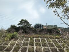 -小南山公园