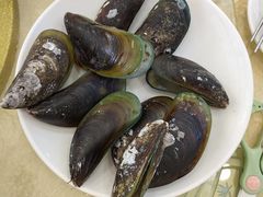 -锐记美食店·现捞海鲜(闸坡店)