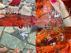 -湖泉半山温泉