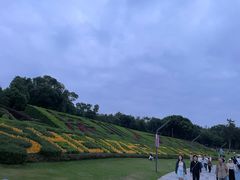 -深圳湾万象城(南山店)