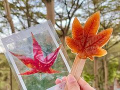 -田野绿世界