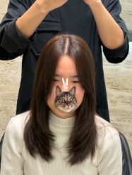 -VIM Hair Salon