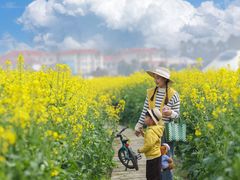 -中国天府农业博览园