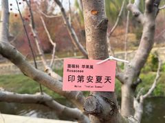 -元大都城垣遗址公园