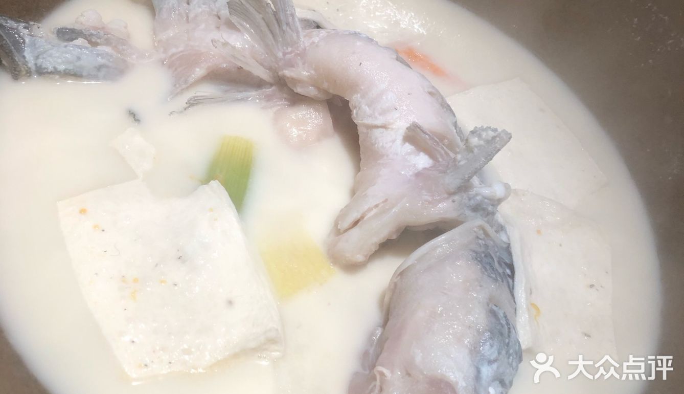 祖宗午觉没睡 问他为什么不睡