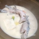 祖宗午觉没睡 问他为什么不睡