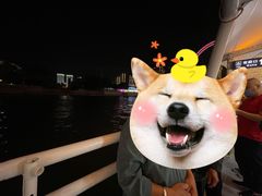 -海河游船-永乐码头(大悲院)