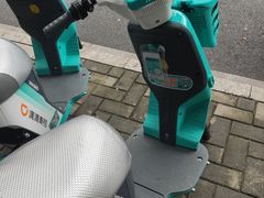 -金砂公园