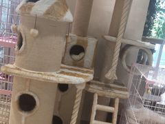 -藏猫猫咖啡主题馆(中央大道店)