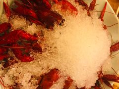 冰镇龙虾-指爱龙虾(金杨路总店)