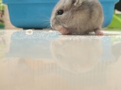 -神画光影影城(温岭万寿路店)