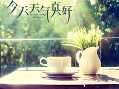 其他-上海市静安区第一中心小学