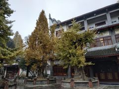 -郫都区农科村景区